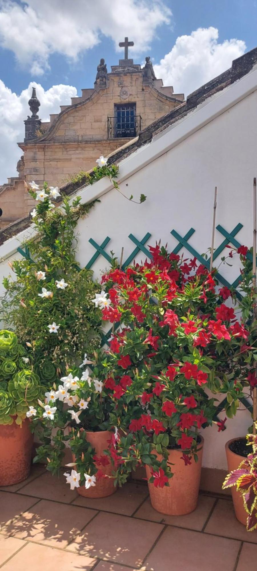 Descalzos Angel With Private Terrace Free Parking Apartment *