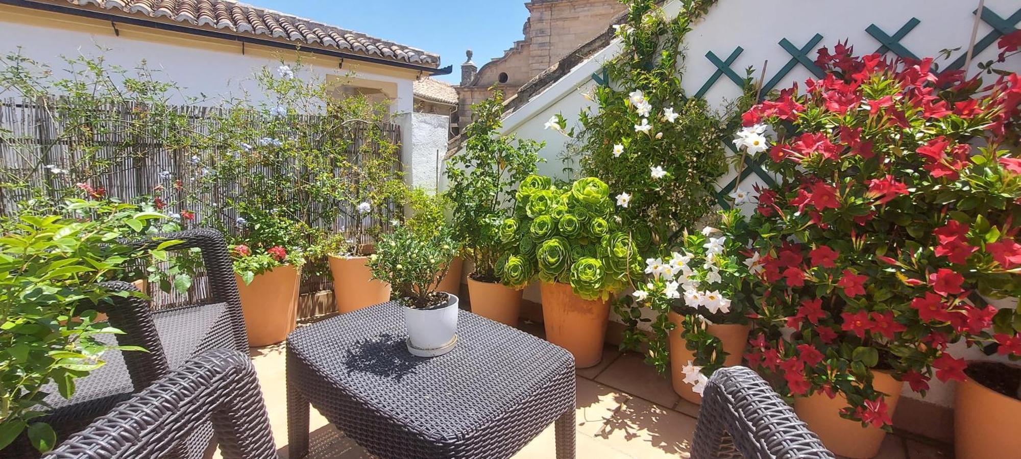 Descalzos Angel With Private Terrace Free Parking Ronda