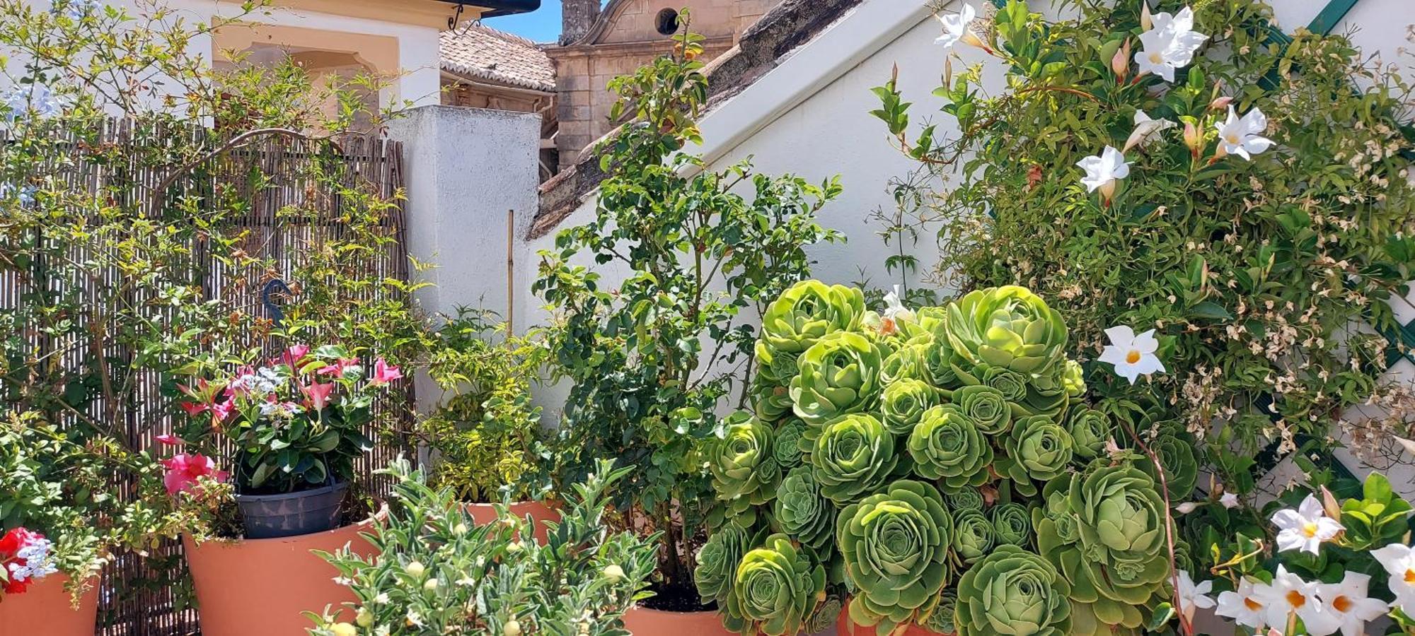 Apartment Descalzos Angel With Private Terrace Free Parking *