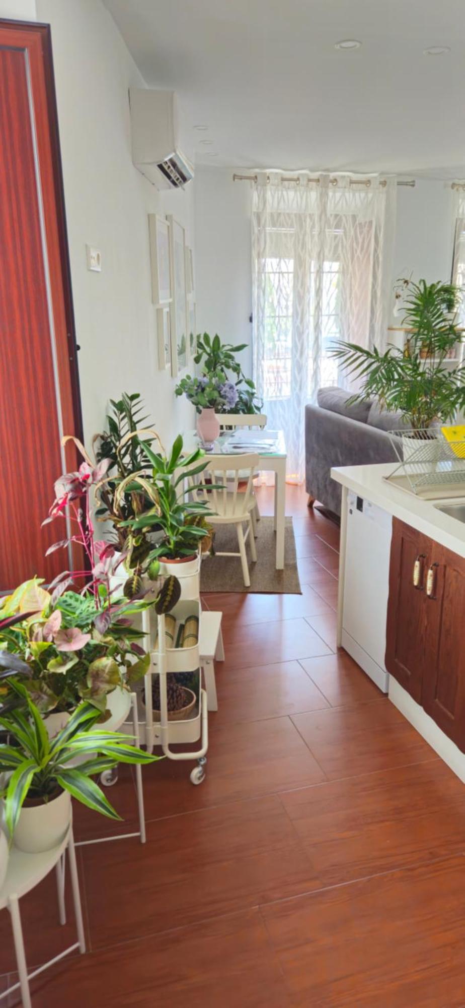 Apartment Descalzos Angel With Private Terrace Free Parking Ronda