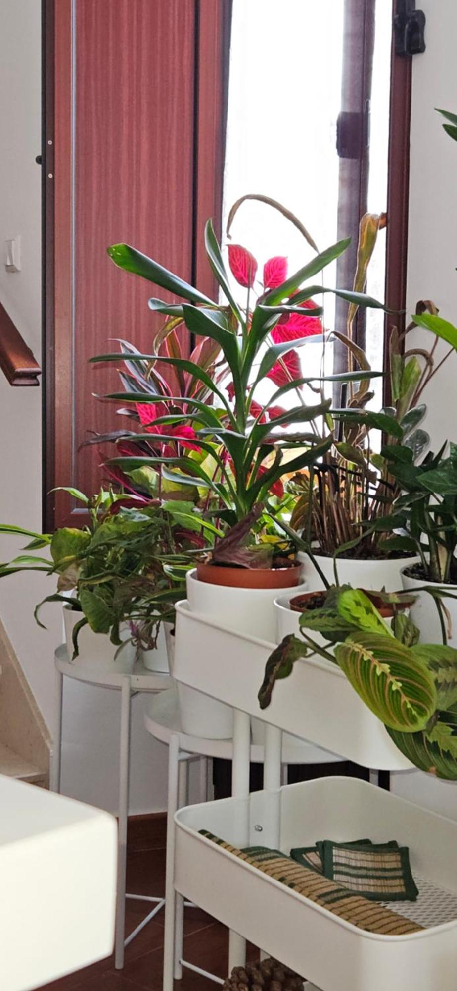 Apartment Descalzos Angel With Private Terrace Free Parking Ronda