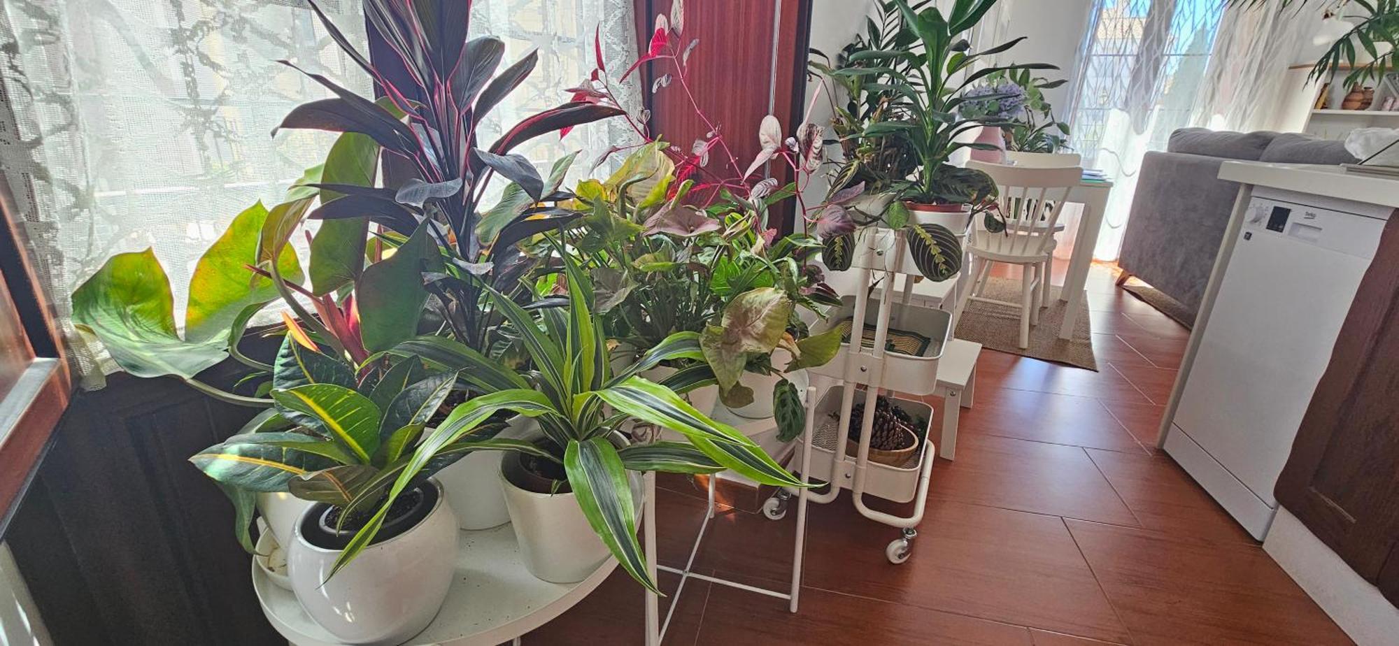 Apartment Descalzos Angel With Private Terrace Free Parking