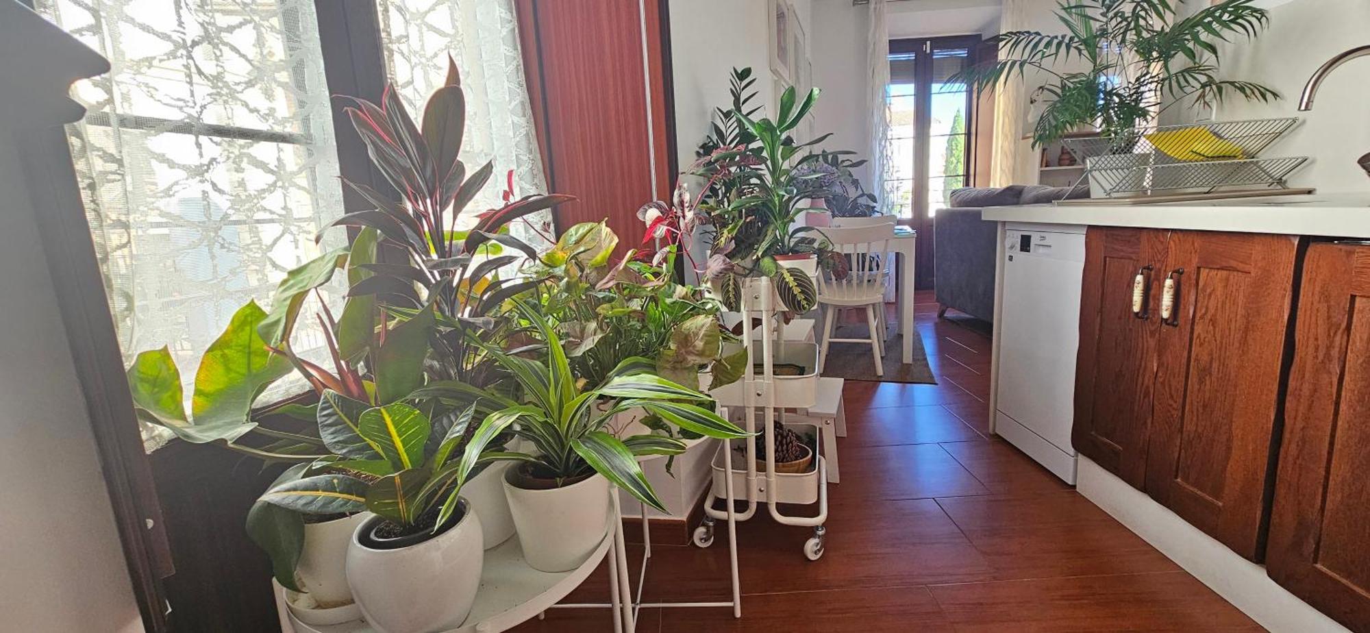 Apartment Descalzos Angel With Private Terrace Free Parking Ronda