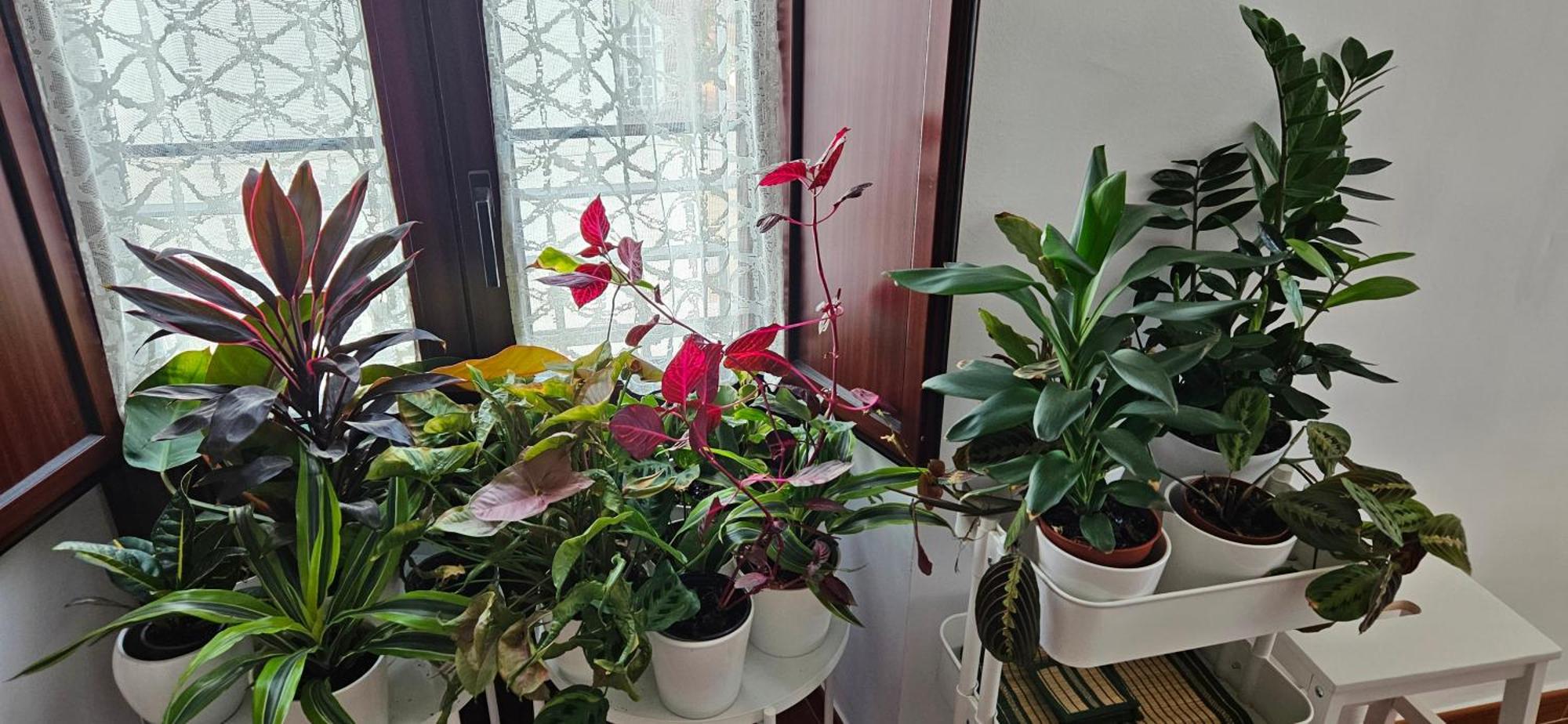 Descalzos Angel With Private Terrace Free Parking Ronda