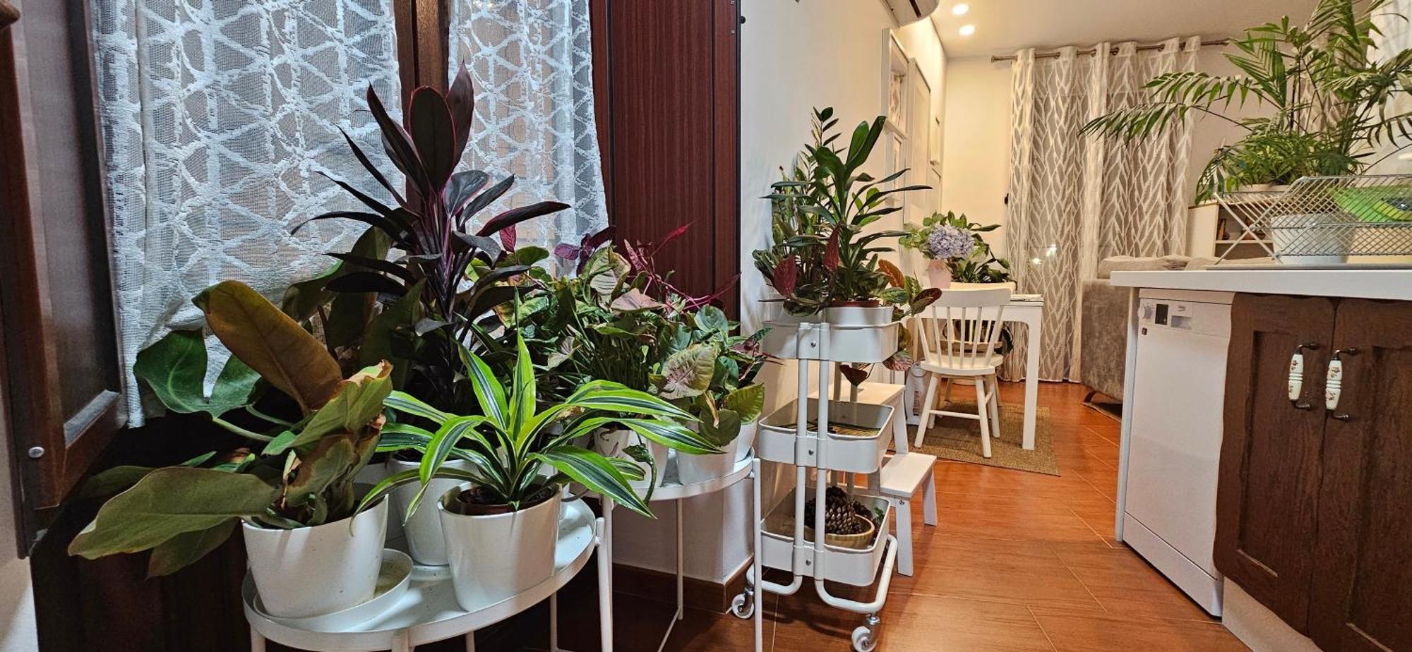 Apartment Descalzos Angel With Private Terrace Free Parking