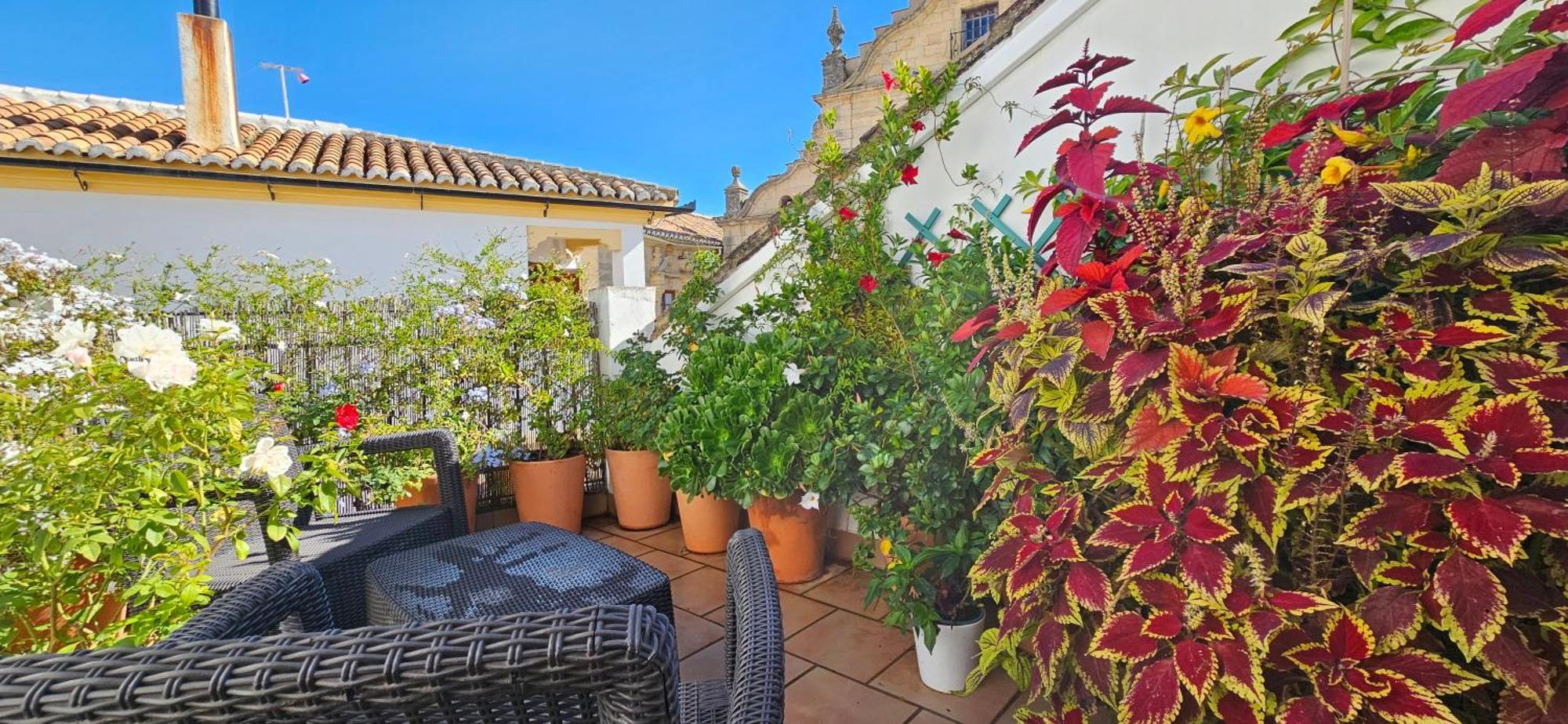 Descalzos Angel With Private Terrace Free Parking Apartment Ronda