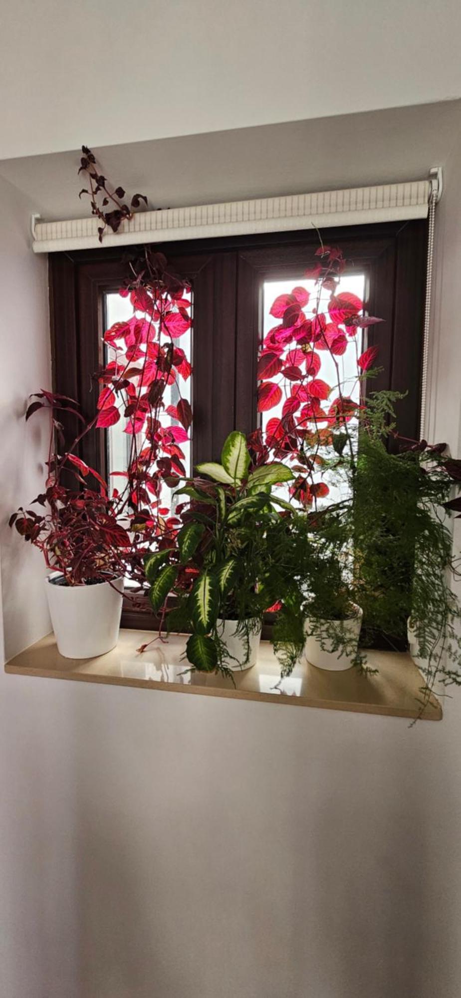 Descalzos Angel With Private Terrace Free Parking Apartment Ronda