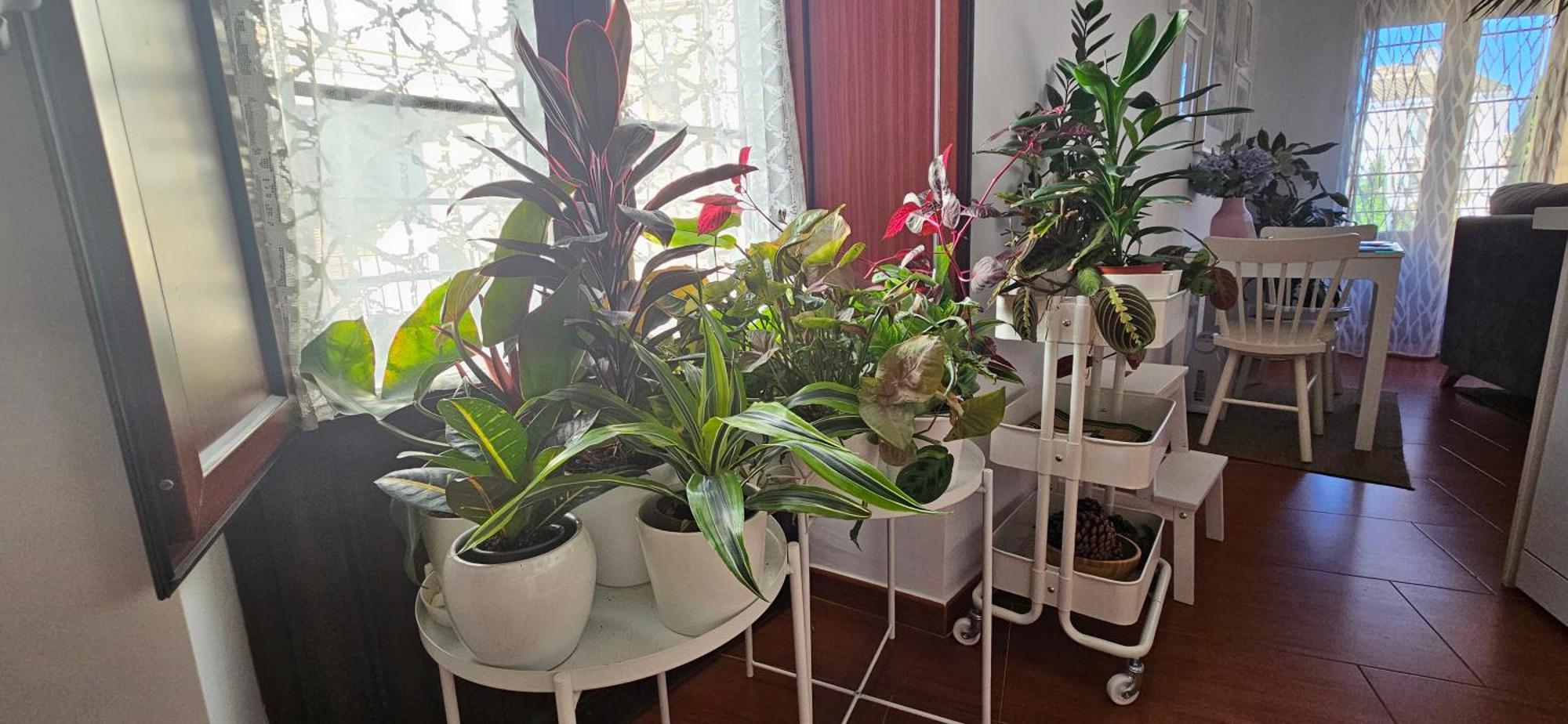 Apartament Descalzos Angel With Private Terrace Free Parking *